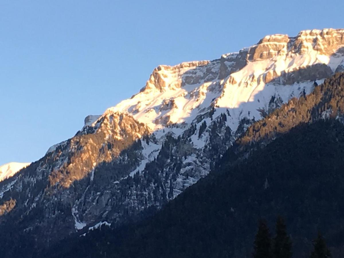 Ferienwohnung Interlaken/Wilderswil Exteriér fotografie