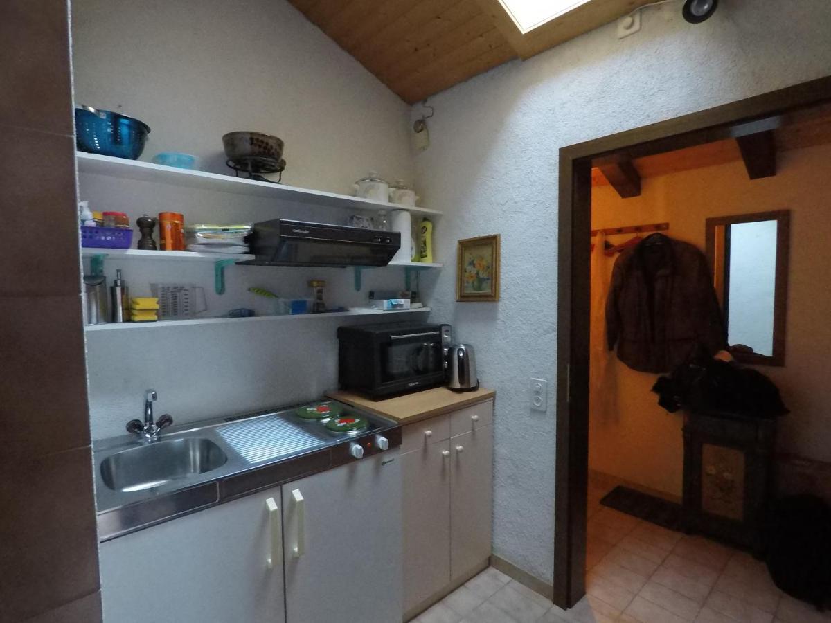Ferienwohnung Interlaken/Wilderswil Exteriér fotografie